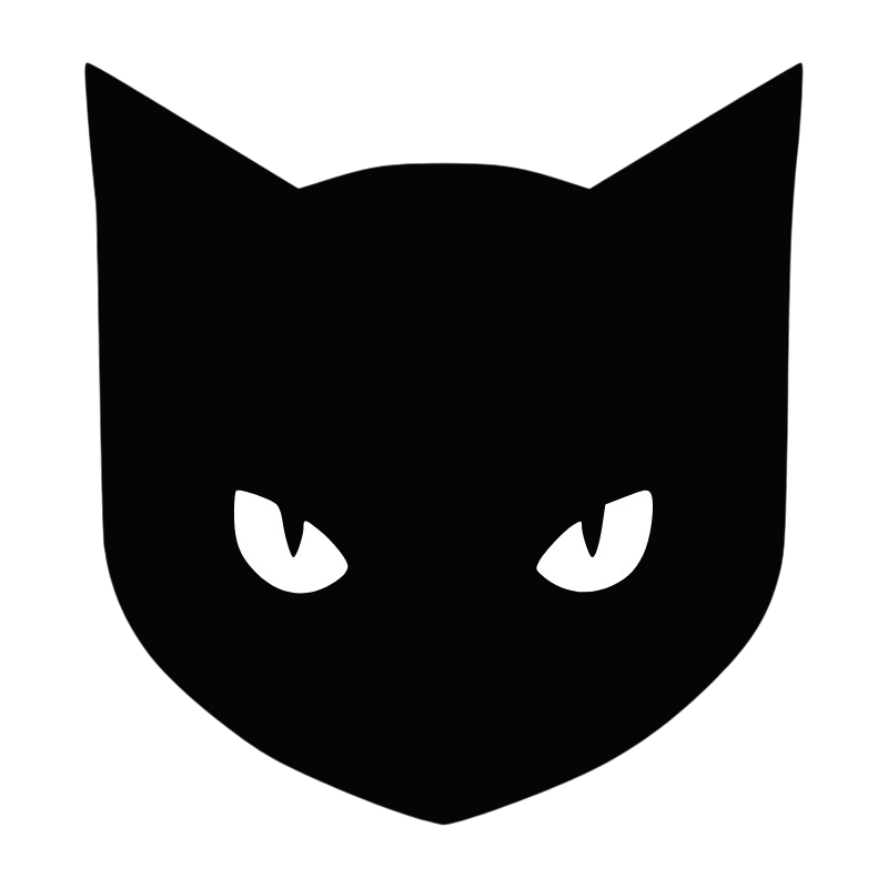 Chat Noir